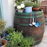 Parma In Self Check - In