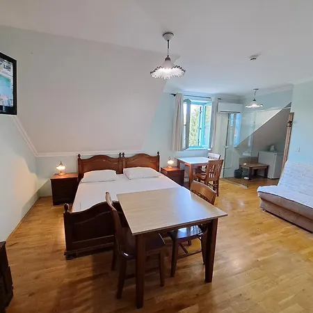 Parma & Guest house