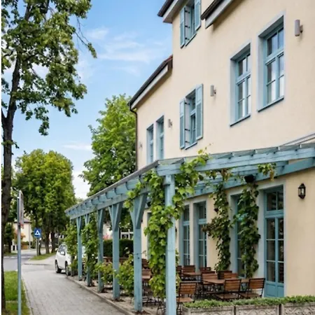 Parma In Self Check - In Maribor