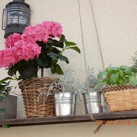Guest house Parma & Maribor