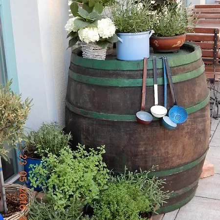 Parma In Self Check - In