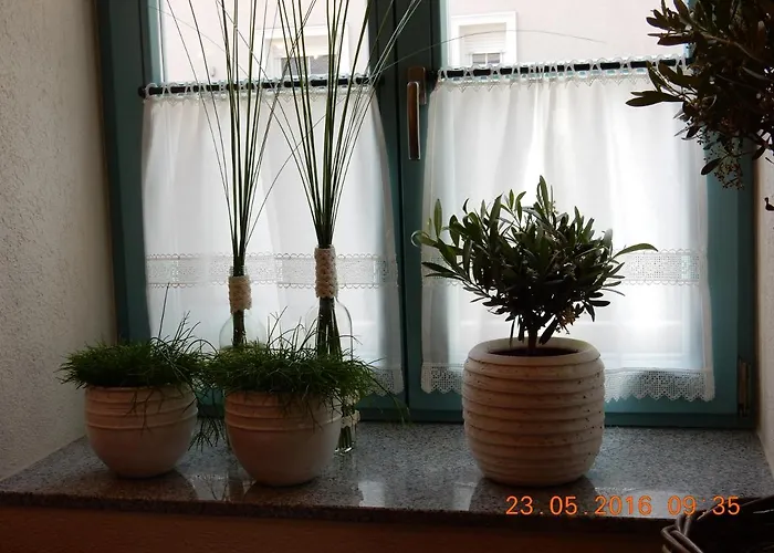 Hiša za goste Parma In Self Check - In