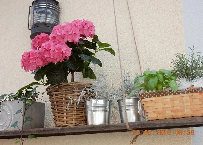 Gasthuis Parma In Self Check - In Maribor