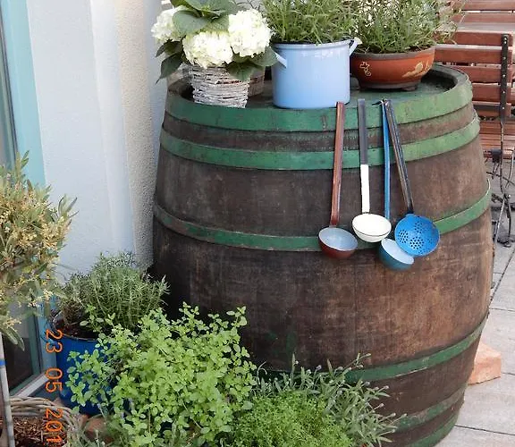 Parma In Self Check - In